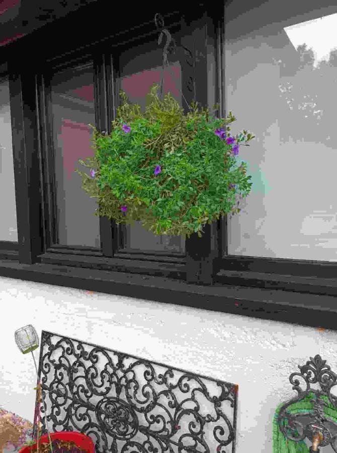 La Grange Bed & Breakfast Promilhanes Exterior photo